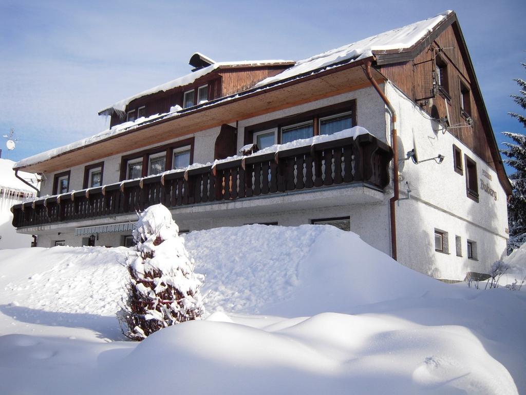 Hotel Pension Daberg à Harrachov Extérieur photo